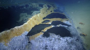 Conheça esse lago no fundo do mar que mata qualquer coisa que nade nele