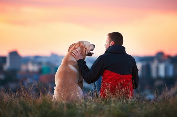 Pesquisa afirma que cães realmente imitam personalidade dos donos, entenda