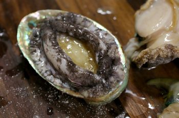 7 achados naturais que podem valer uma fortuna