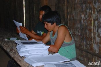 Tribo indígena cria enciclopédia de plantas medicinais, mas em sua própria língua