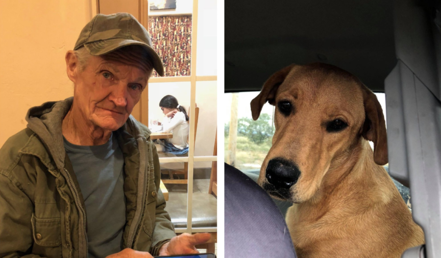 Entenda como um cachorro quase matou seu dono usando uma arma