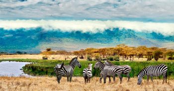 7 lugares que você precisa visitar quando for à Uganda