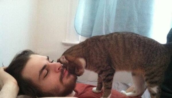 0000000010 POR QUE GATOS ADORAM DORMIR EM CIMA DE SEUS DONOS? 0000000010