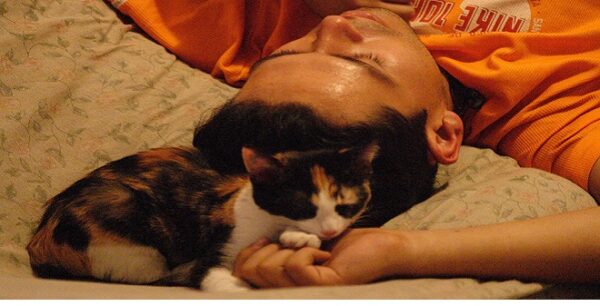 0111111111111 1 POR QUE GATOS ADORAM DORMIR EM CIMA DE SEUS DONOS? 0111111111111 1