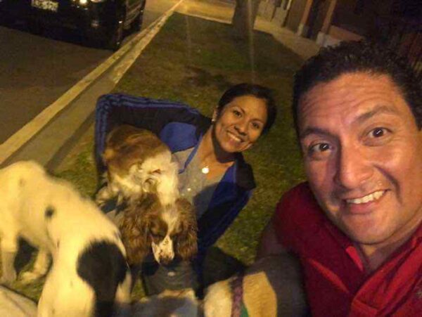 2 12 Cachorro espera seu dono na porta de hospital durante 3 dias, mas ele nunca voltou 2 12