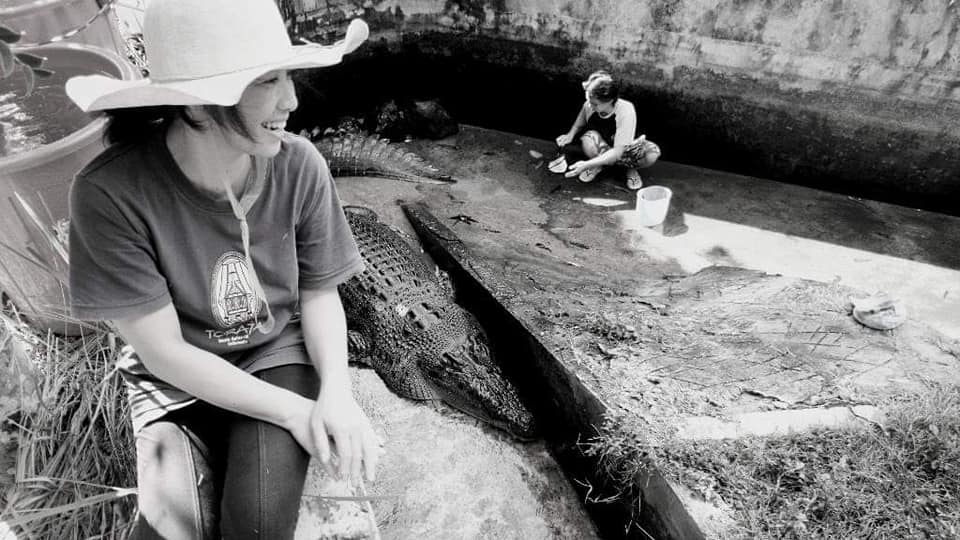 Um crocodilo de 5 metros matou a mulher que o alimentava