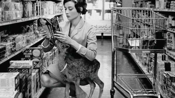 Audrey Hepburn Deer 600x338 7 fotos históricas que você não vai acreditar que são reais Audrey Hepburn Deer 600x338