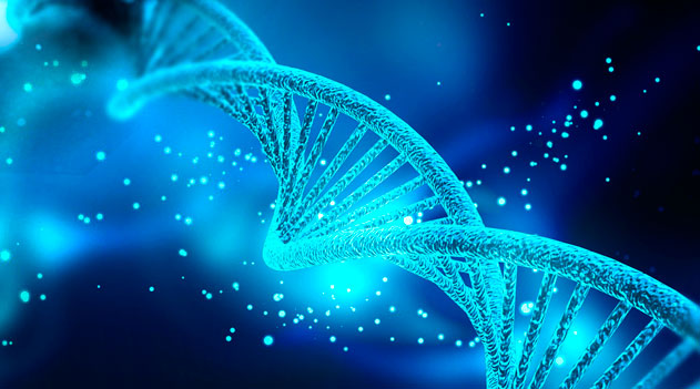 7 incríveis descobertas a partir de amostras de DNA antigos
