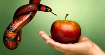 Qual pecado capital mais te representa? [Quiz]