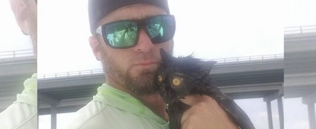 Capitão desvia curso de sua embarcação para resgatar um gato em alto-mar