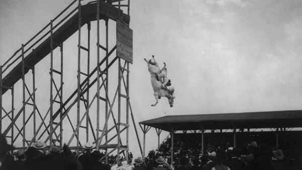 horse diving 391084 640 600x338 7 fotos históricas que você não vai acreditar que são reais horse diving 391084 640 600x338