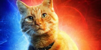 7 coisas que você precisa saber sobre o gato da Capitã Marvel
