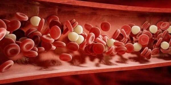 010100110 Entenda porque um homem na Alemanha tinha o sangue branco 010100110