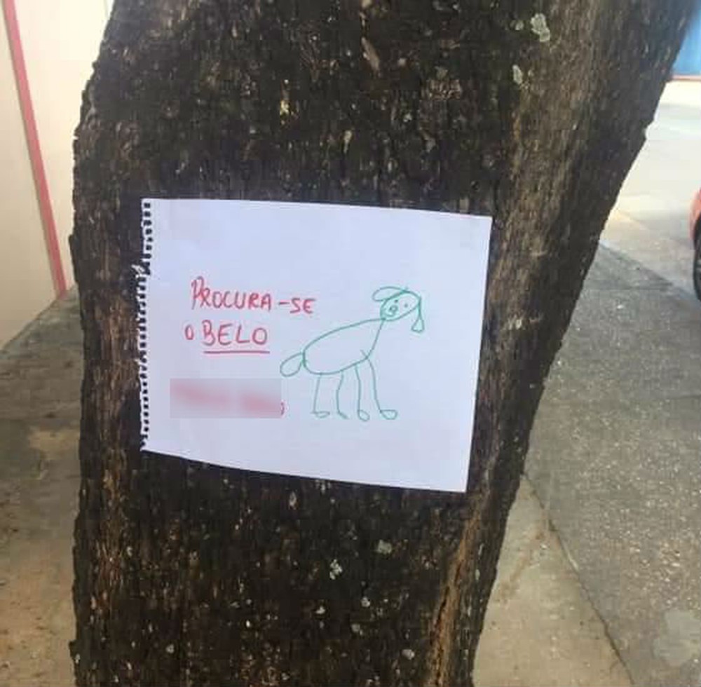 Garotinha resolveu procurar seu cachorrinho fazendo cartazes à mão