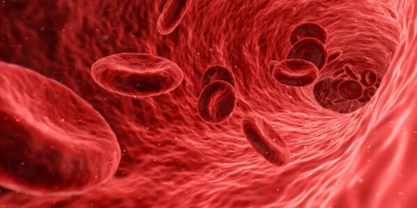 1000 11 Entenda porque um homem na Alemanha tinha o sangue branco 1000 11