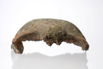 Um crânio de incríveis 5600 anos foi encontrado em Londres