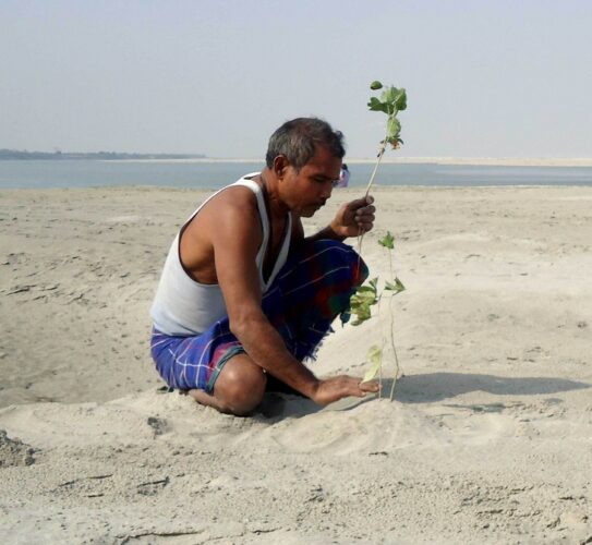 10246060 image crop 2409x2220 1550669135 728 ad3867d222 1550735537 A HISTÓRIA DO HOMEM QUE PASSOU 40 ANOS TRANSFORMANDO UMA ILHA DESERTA EM UMA FLORESTA GIGANTE 10246060 image crop 2409x2220 1550669135 728 ad3867d222 1550735537