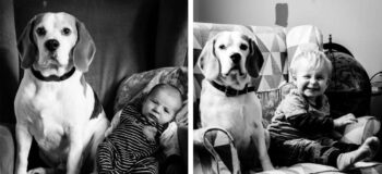 Mãe fotografa filho e cachorro por dois anos e tem resultado impressionante