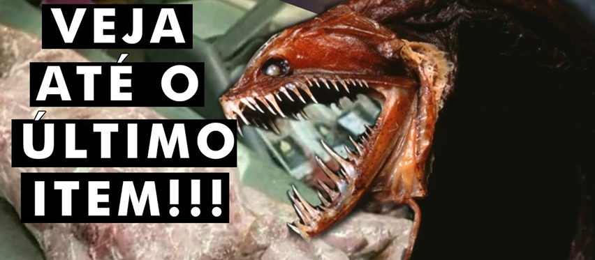 Esse é o pior predador do ser humano