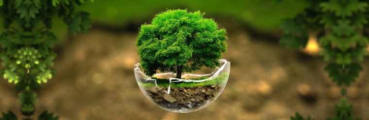 7 projetos ambientais incríveis que estão tentando salvar nosso planeta