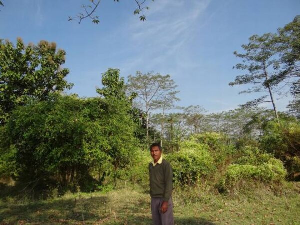 DE10PERISCOPEPAYENG A HISTÓRIA DO HOMEM QUE PASSOU 40 ANOS TRANSFORMANDO UMA ILHA DESERTA EM UMA FLORESTA GIGANTE DE10PERISCOPEPAYENG