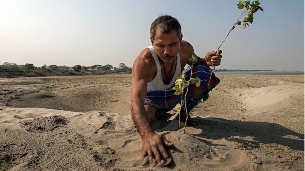 jadav payeng india 005 A HISTÓRIA DO HOMEM QUE PASSOU 40 ANOS TRANSFORMANDO UMA ILHA DESERTA EM UMA FLORESTA GIGANTE jadav payeng india 005