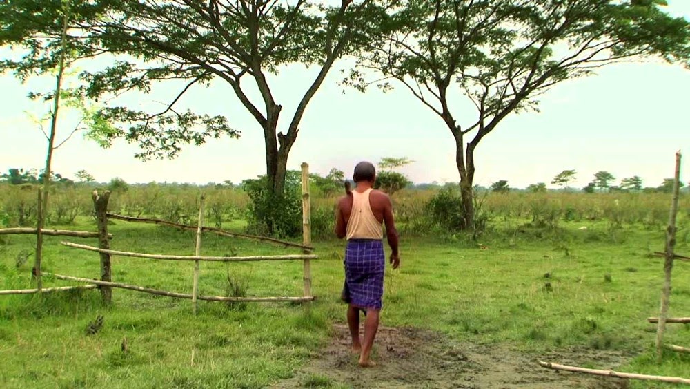 jadav payeng india 007 A HISTÓRIA DO HOMEM QUE PASSOU 40 ANOS TRANSFORMANDO UMA ILHA DESERTA EM UMA FLORESTA GIGANTE jadav payeng india 007