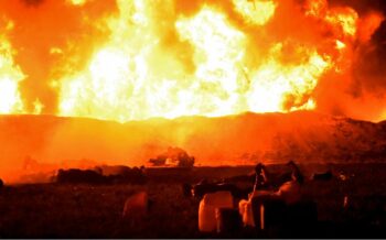 Como sobreviver a um incêndio, segundo a ciência