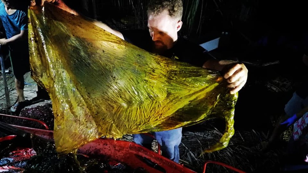 Baleia encontrada morta com 40 kg de plástico mostra triste tendência para o meio ambiente