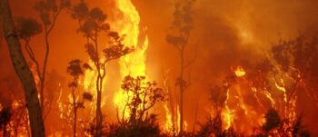 7 incêndios mais graves de toda a História