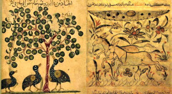 Conheça o filósofo muçulmano que formulou a teoria da evolução muito antes de Darwin