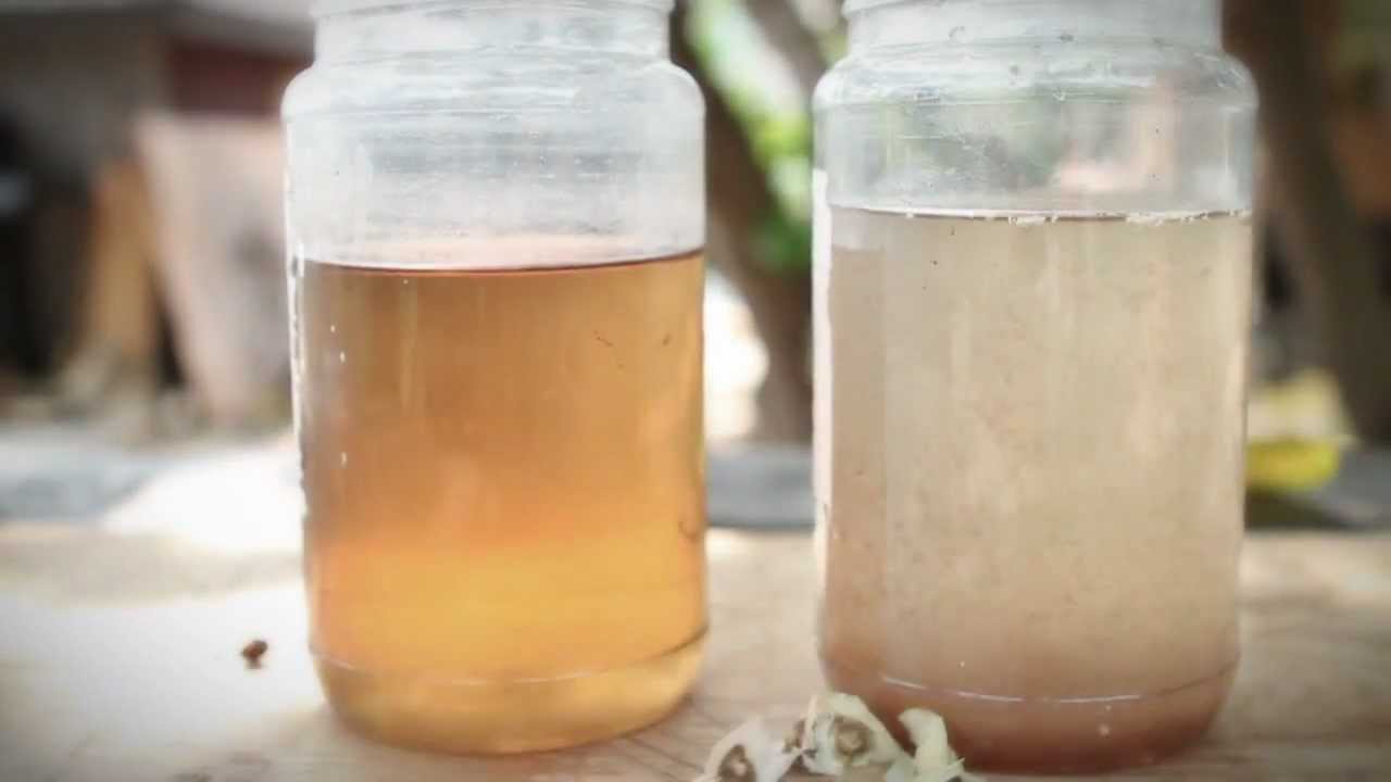 Um método de 4 mil anos poderia salvar milhões produzindo água potável