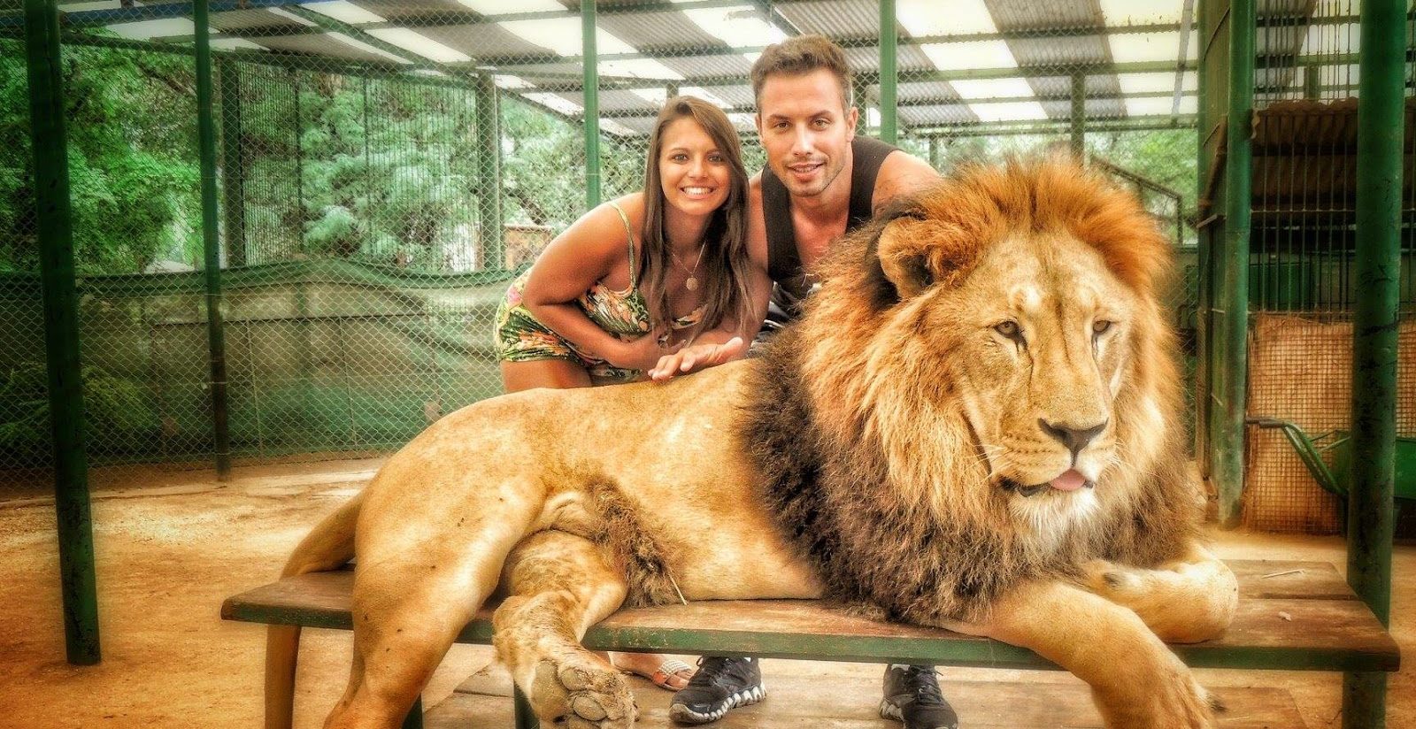 A triste realidade do turismo com animais selvagens
