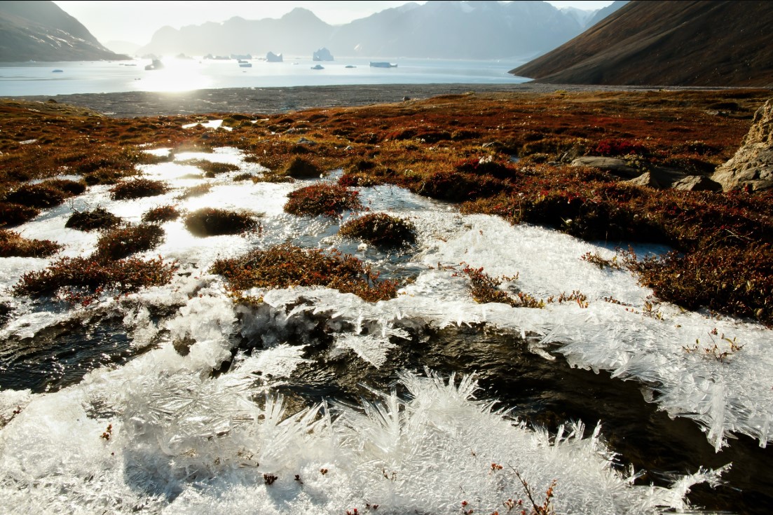 Cientistas mostram o prejuízo em dólares do aquecimento dos polos