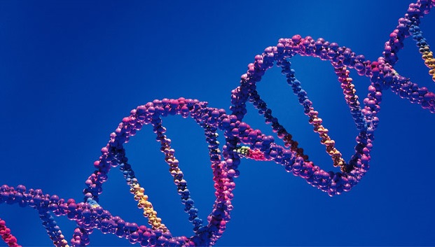 7 genes raros que trazem mudanças estranhas