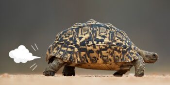 7 coisas nojentas que surpreendentemente fazem bem para você