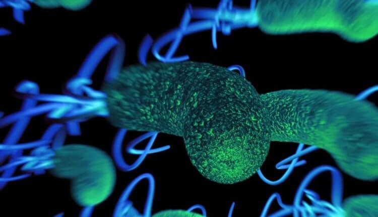 Forma de vida que respira arsênico foi encontrada em águas do México