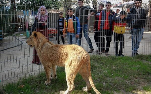 7 coisas proibidas em Israel para você saber 7 coisas proibidas em Israel para você saber
