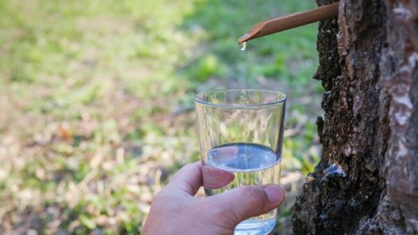 suco de %C3%A1rvore na r%C3%BAssia 7 coisas estranhas que só existem na Rússia suco de %C3%A1rvore na r%C3%BAssia