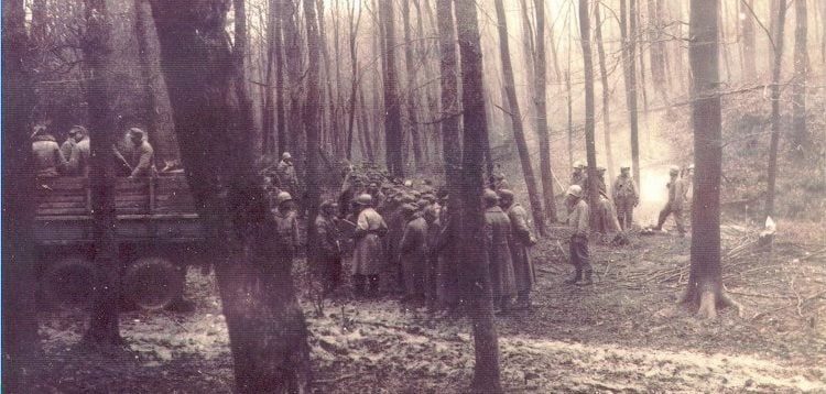 Batalha da Floresta de Hürtgen, o maior confronto entre EUA e Alemanha nazista