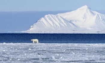 7 doenças mortais que podem voltar por causa da mudança climática