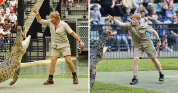 O filho de Steve Irwin é um prodígio e já segue os passos do pai