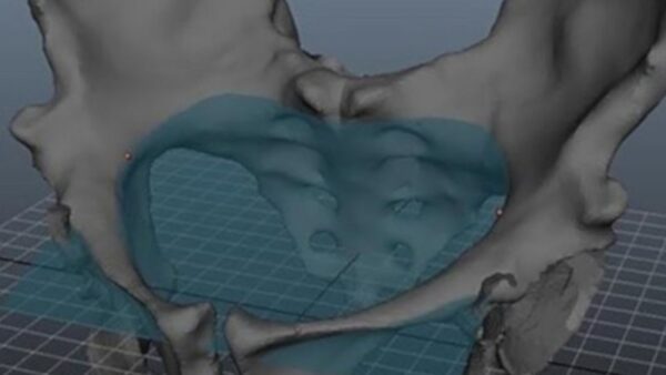 3d Como as mulheres davam à luz há 2 milhões de anos? 3d