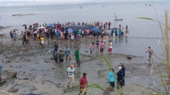 Brasileiros comem carne de baleia que morreu encalhada