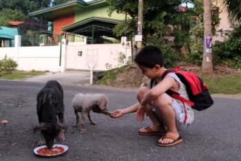 Com 9 anos, ele guardou suas economias para alimentar cachorros