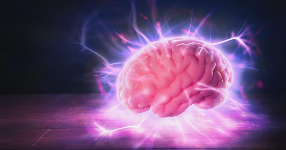 Quanto tempo um cérebro pode ficar vivo sem o corpo?