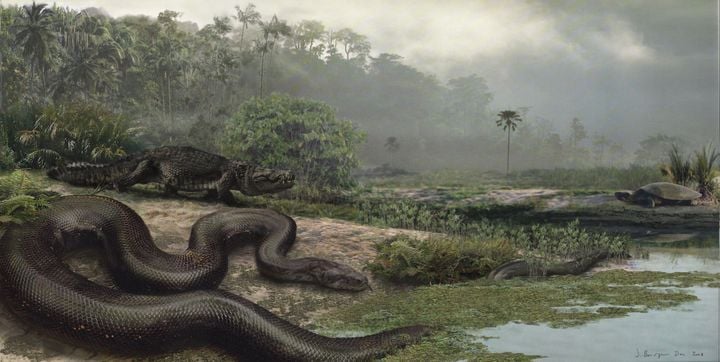 Como a Titanoboa foi extinta?