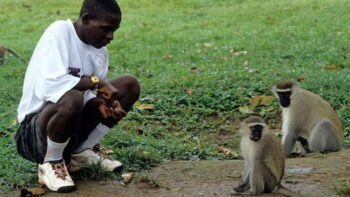 John Ssebunya, o garoto realmente criado por macacos
