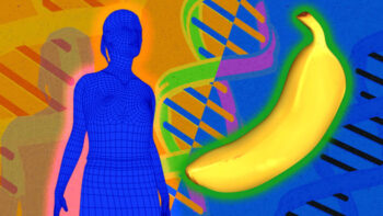 Pessoas e bananas compartilham 50% do mesmo DNA?