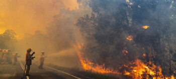 7 coisas mais incríveis que aconteceram durante o incêndio da Austrália
